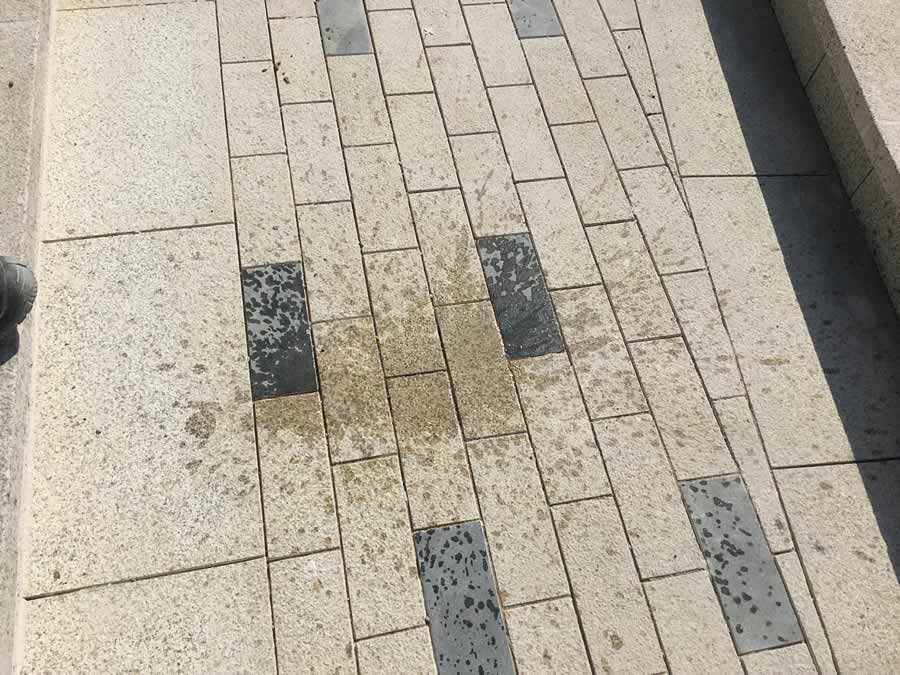 阿聯(lián)酋阿布扎比工程