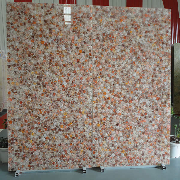 Sea Shell Slab