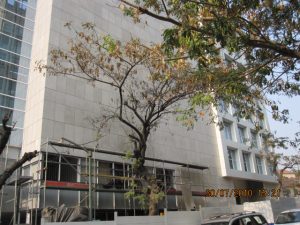 Luanda Project, Wall Cladding