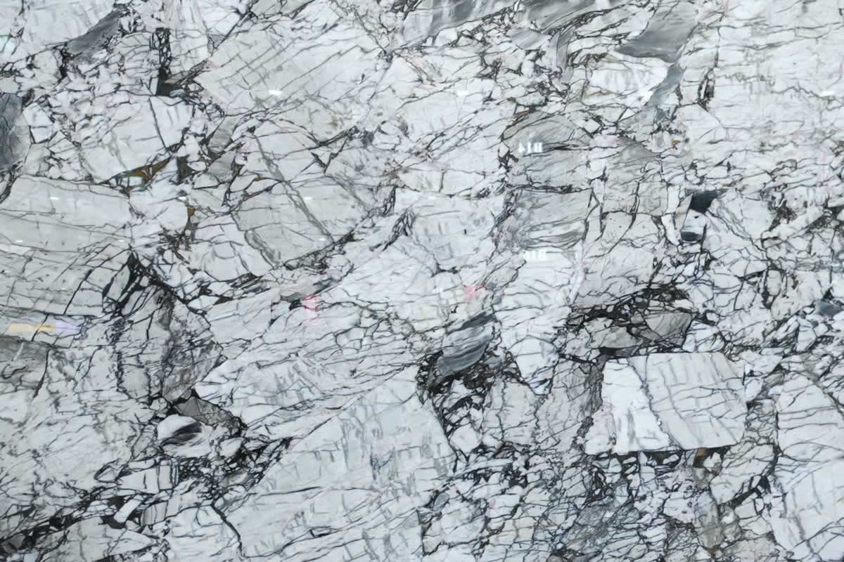 夢(mèng)幻寶格麗