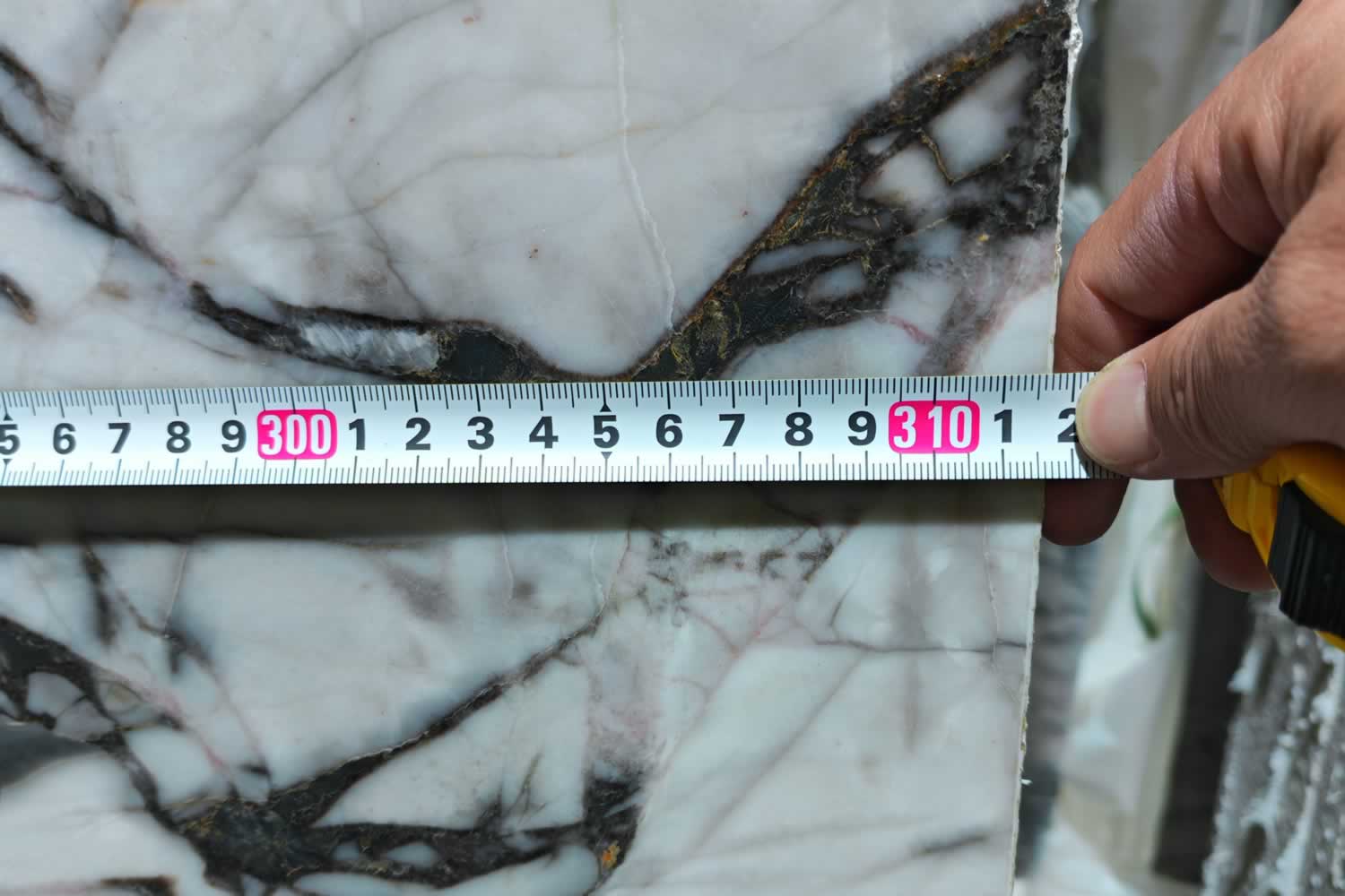 夢(mèng)幻寶格麗